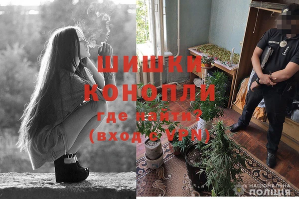 стафф Россошь