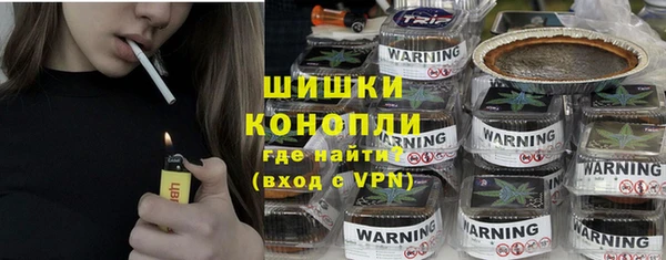 стафф Россошь