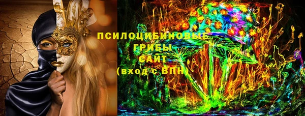 стафф Россошь