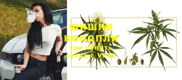 гидропоника Рославль