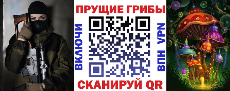 Галлюциногенные грибы Psilocybe  Купить где  Ясный 